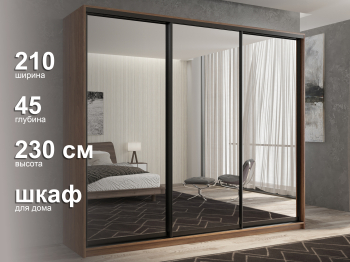 Шкаф-купе 3х дверный Кааппи 1 210х45