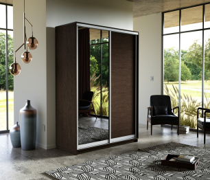 Шкаф-купе Экспресс Медиум дуо 2400 x 1200 x 600