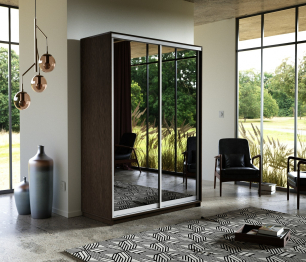 Шкаф-купе Экспресс Экспенс дуо 2400 x 1200 x 600