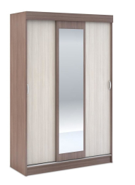 Шкаф-купе Андрей-4