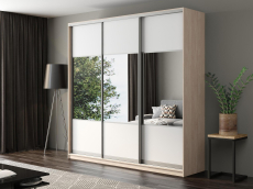 Шкафы-купе, Шкаф-купе Айсберг 240 ШАМОНИ СВЕТЛЫЙ (белый/комбинированный)