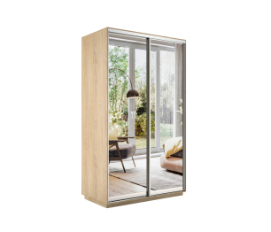 Шкаф-купе Экспресс Экспенс дуо 2200 x 1600 x 600