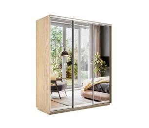 Шкаф-купе Экспресс Экспенс трио 2200 x 2400 x 600