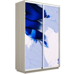 Шкаф-купе Экспресс 1011, 120х60х220