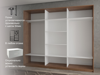 Шкаф-купе 3х дверный Кааппи 3 180х60