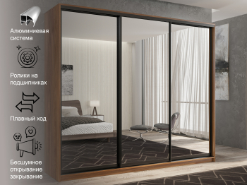 Шкаф-купе 3х дверный Кааппи 1 210х60