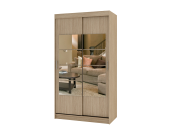 Шкаф купе РИФ-2 ЗЕРКАЛО вариант 3 габарит 900х400х2500