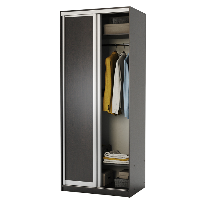 Шкафы-купе, Шкаф-купе 2-х дв. Премиум 90х60х220