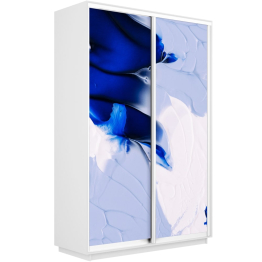 Шкаф-купе Экспресс 1010, 120х60х240