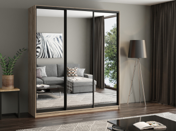 Шкаф купе 3-х дверный АЙСБЕРГ ЛОФТ 200 /зеркало