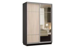 Шкафы-купе, Шкаф-купе Премьер Лайт 01 Мини (08;11) двухдверный