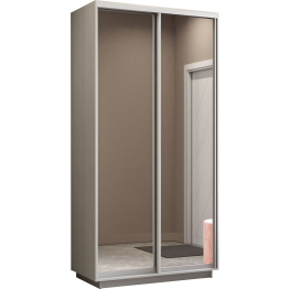 Шкаф-купе Экспресс Экспенс дуо 2200 x 1200 x 600