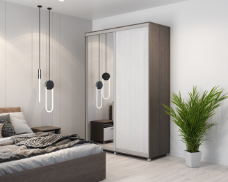 Шкаф-купе 2-дв  Роланд Р612  (в2200*ш1100*г600)