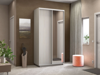 Шкаф-купе Экспресс Медиум дуо 2200 x 1200 х 600