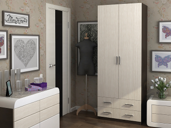 Шкаф Дуэт 2-х створчатый