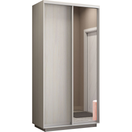 Шкаф-купе Экспресс Медиум дуо 2200 x 1200 х 600