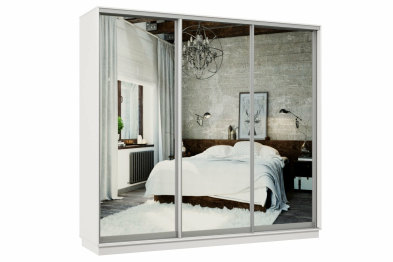 Шкаф-купе Премьер 53 Белый