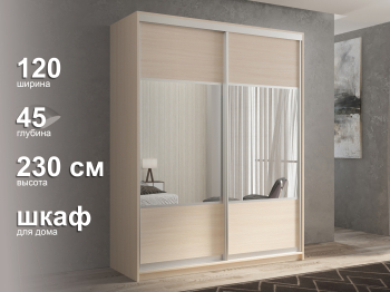 Шкаф-купе 2х дверный Кааппи 6 120х45