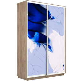 Шкаф-купе Экспресс 1010, 120х45х220