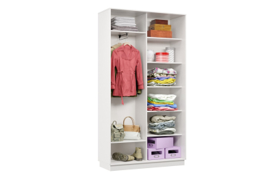 Шкаф-купе Премьер МИНИ 01 (15;15) двухдверный